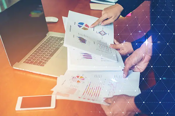 大条鱼美食做法视频